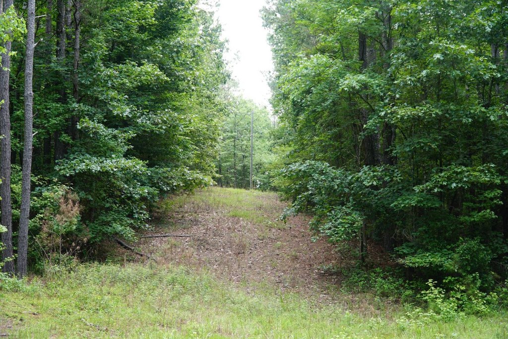 Picture 45