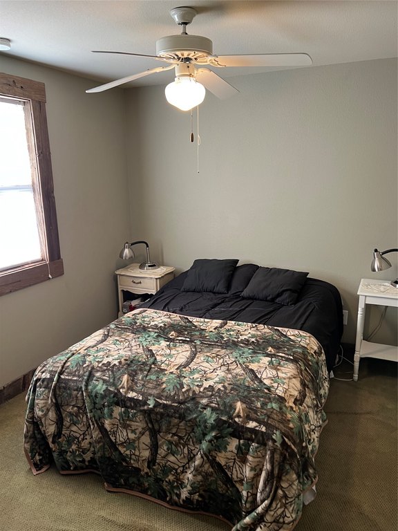 Picture 16