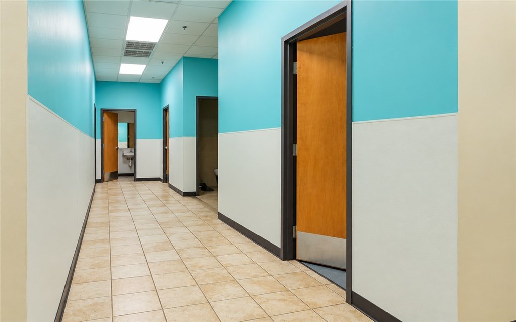 Picture 31