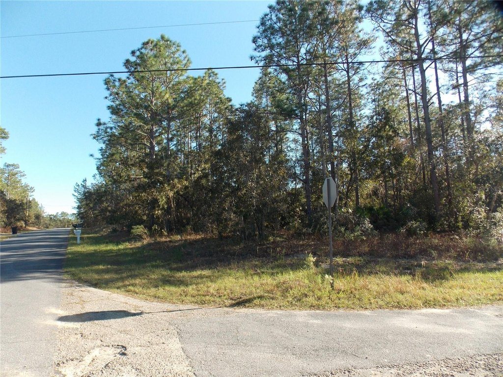 Picture 2