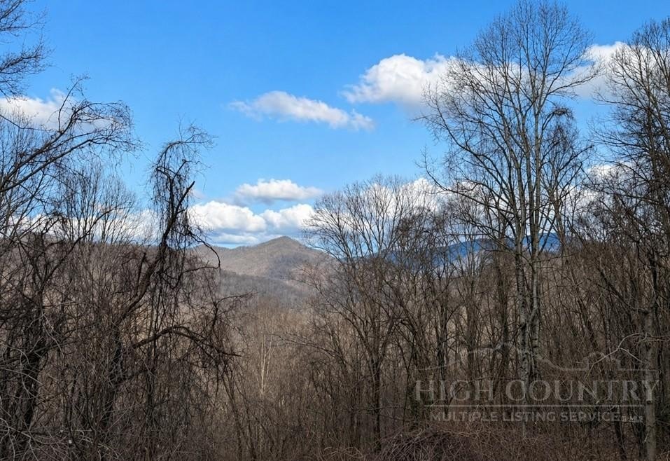 Land in Bakersville, NC