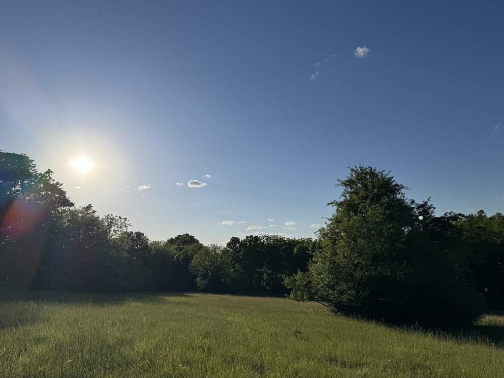 Picture 28