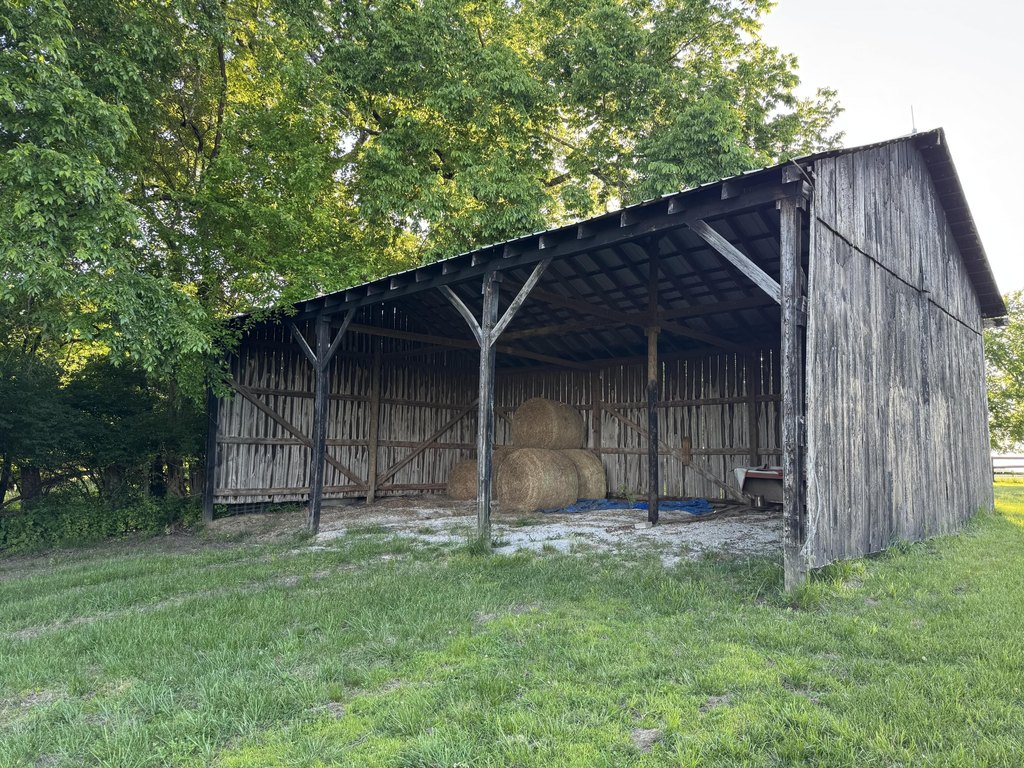 Picture 20