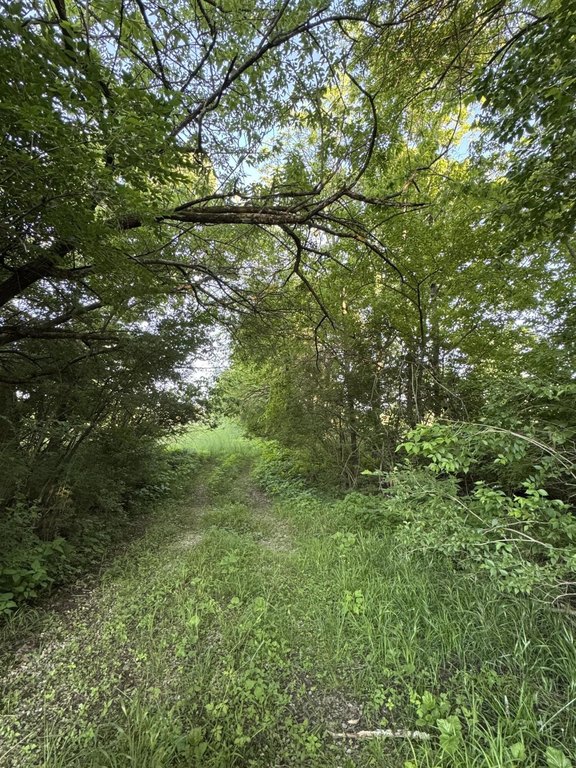 Picture 29