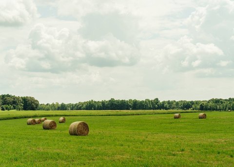 LAND - Louisville, MS