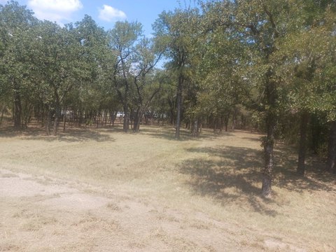 Waterfront Weekend Cabin Lot