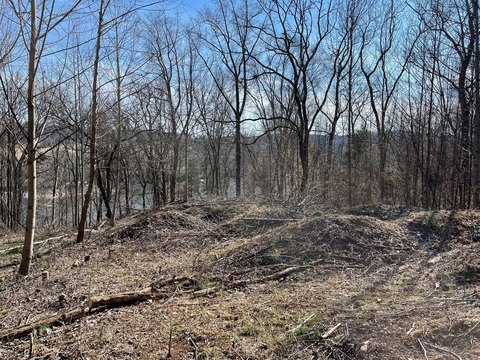 Lakefront Lot in Biltmore