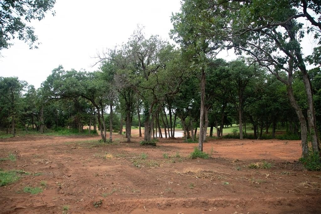 Picture 16