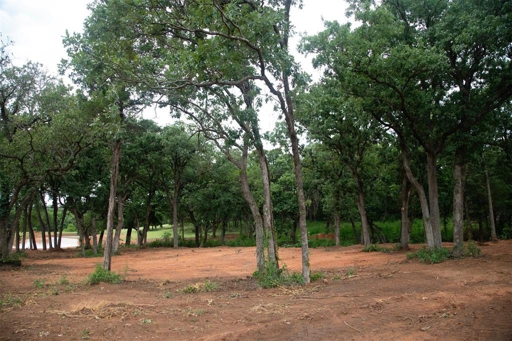 Picture 15