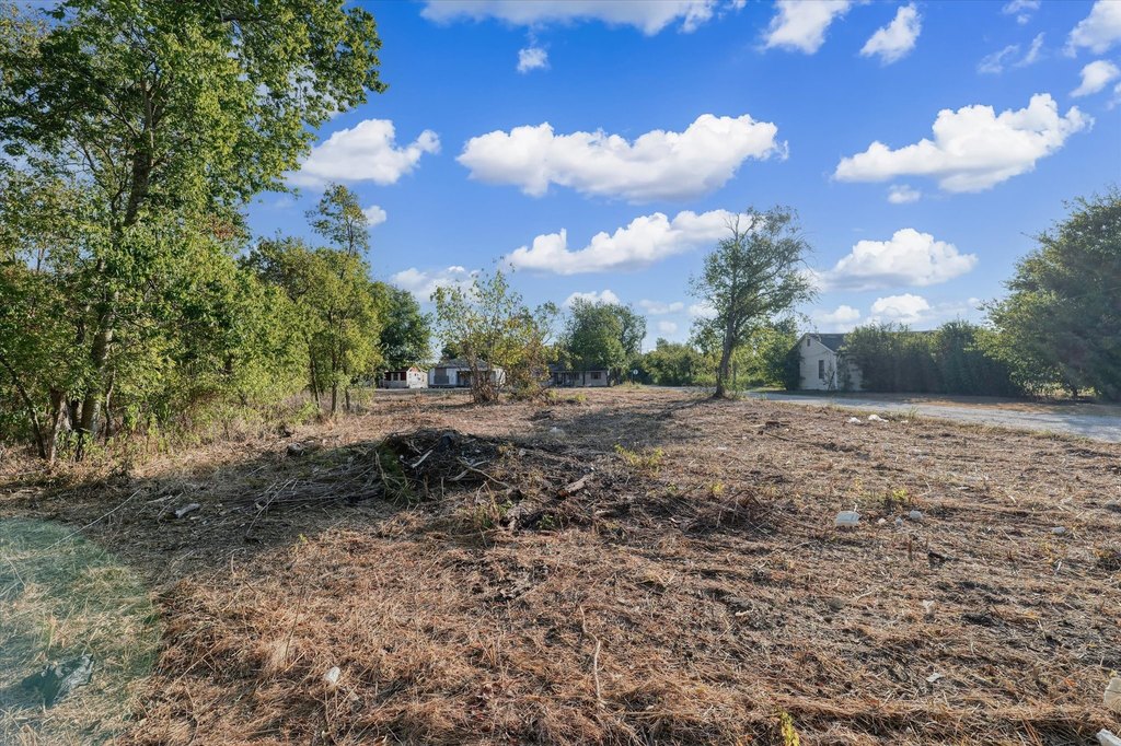 Picture 8