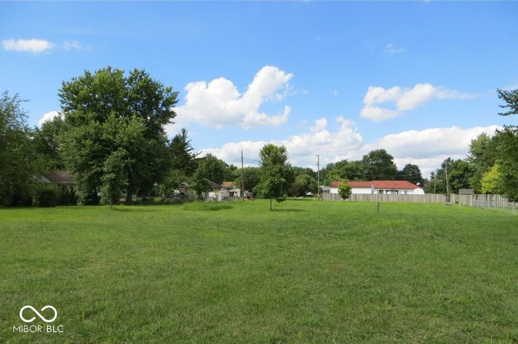 Picture 6