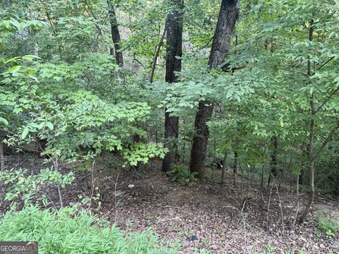 Land, Gainesville, GA