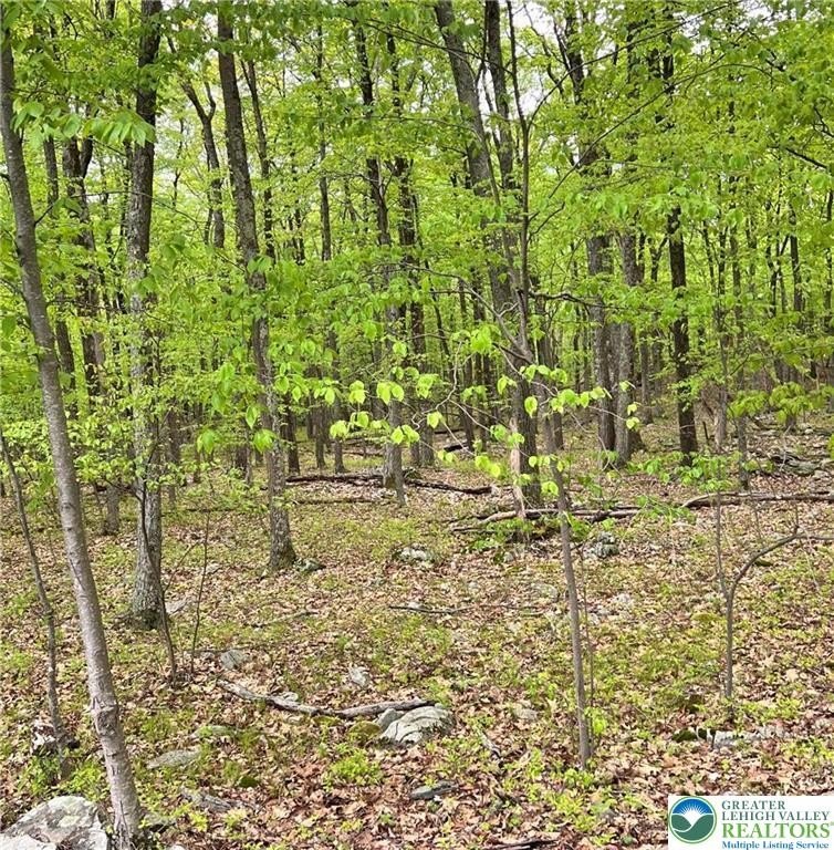Land in Indian Mountain Lakes