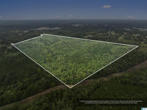 Undeveloped Hunting and Homesite Land