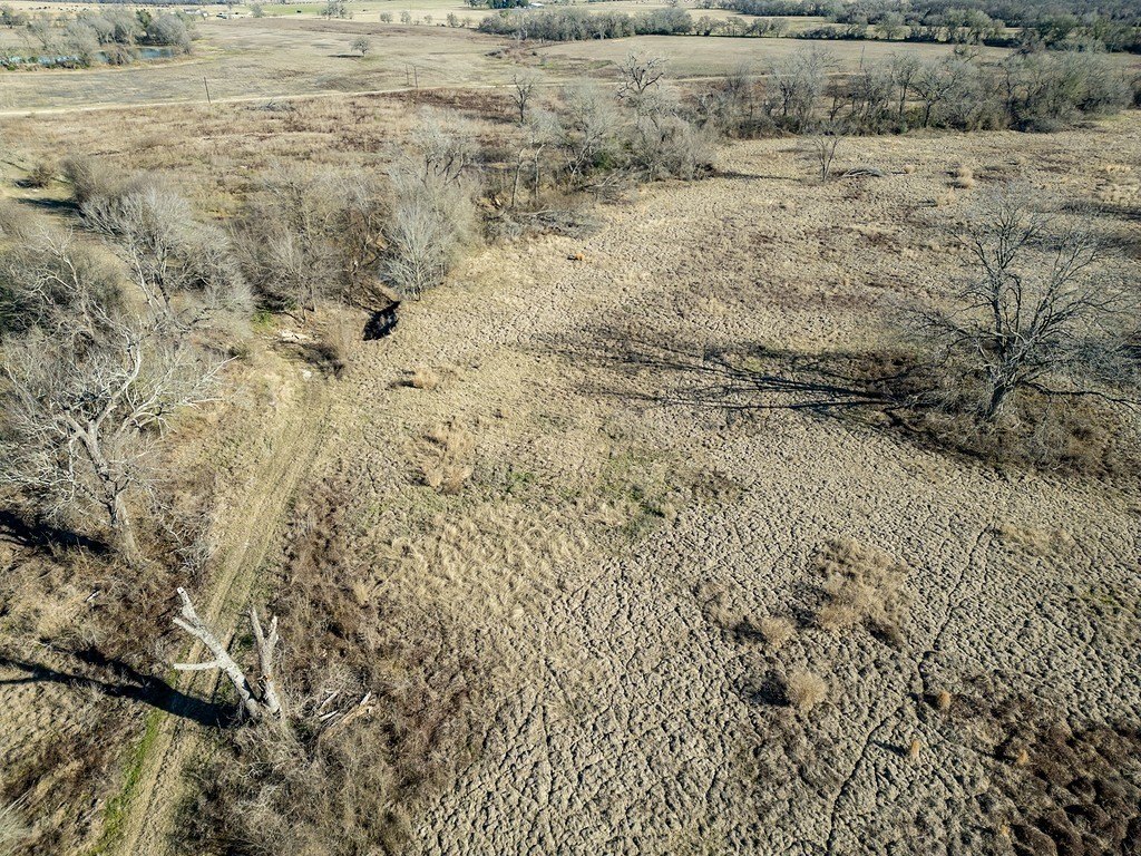 Picture 14