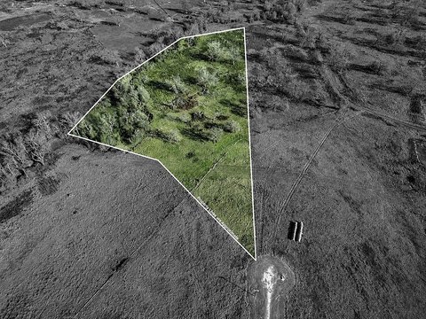 Agricultural Tract with Pasture and Trees