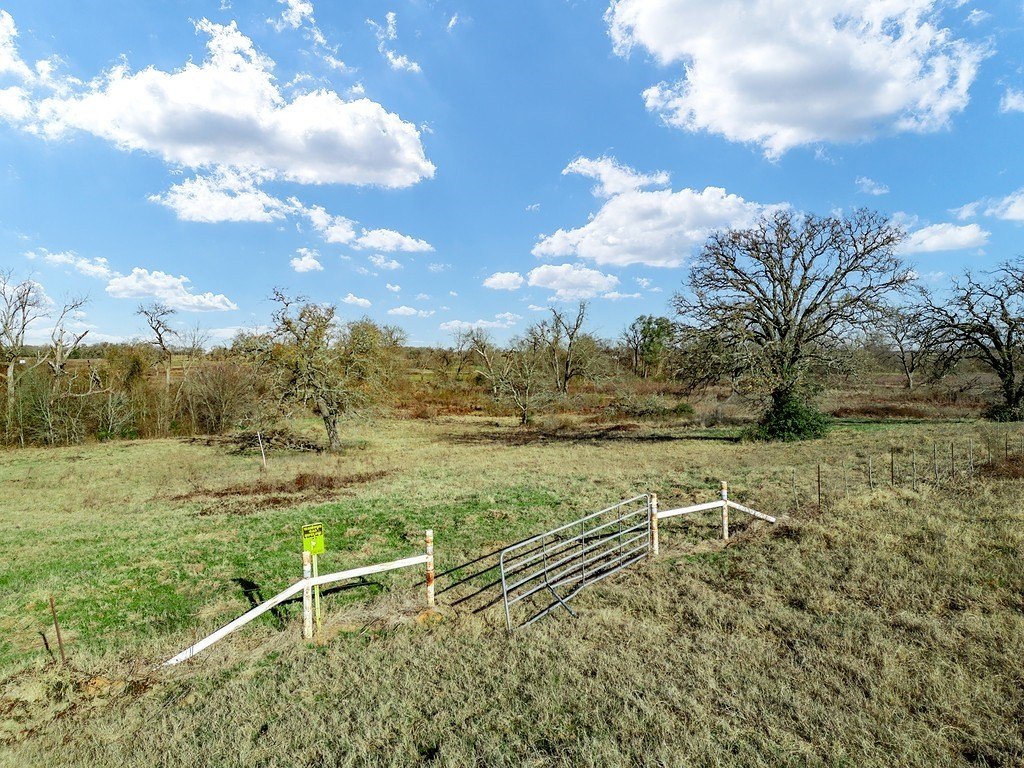 Picture 7