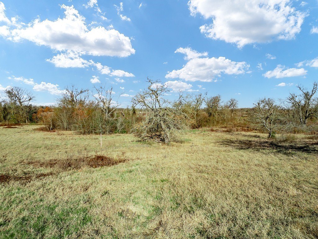 Picture 9