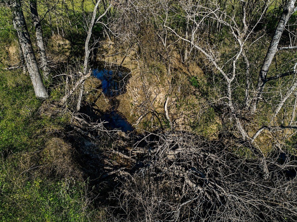 Picture 20