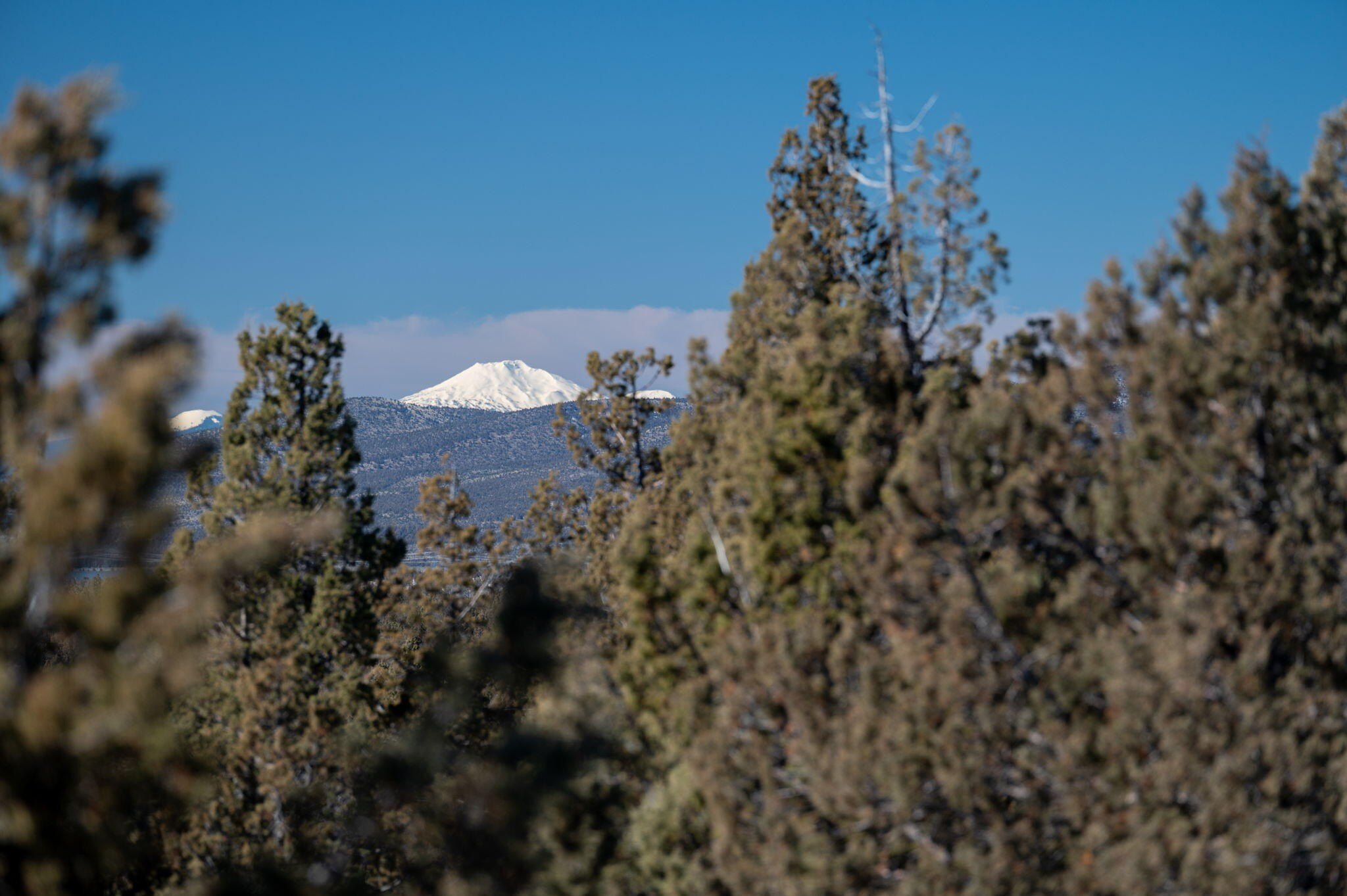 5 Acre Land Parcel