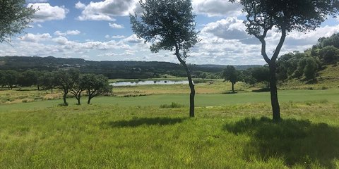 Residential Land in Fredericksburg, TX