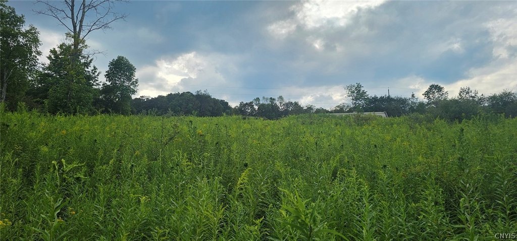 Picture 7