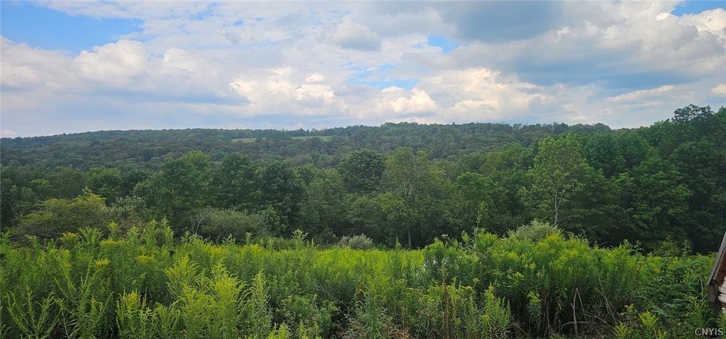 Picture 6