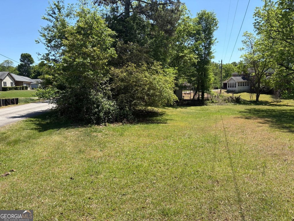 Picture 20