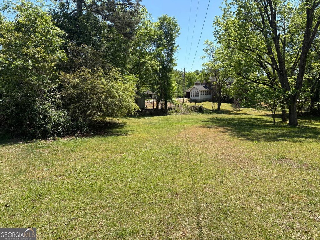 Picture 19