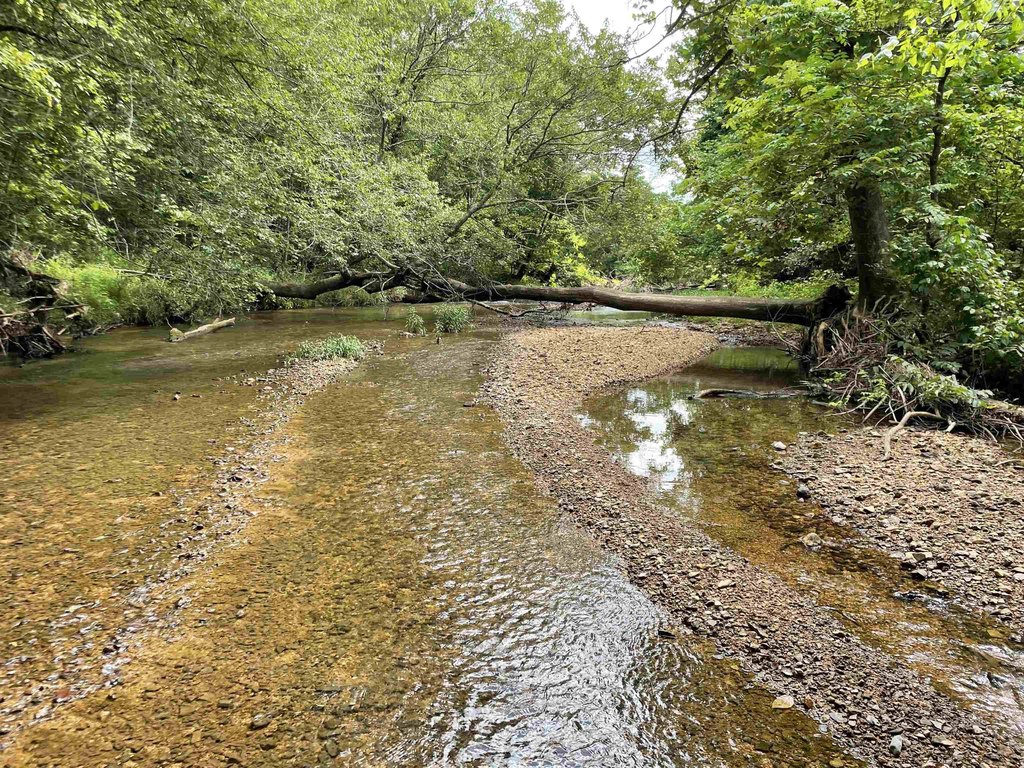Picture 25