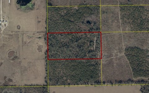 Wooded Agricultural Land with Access Issues