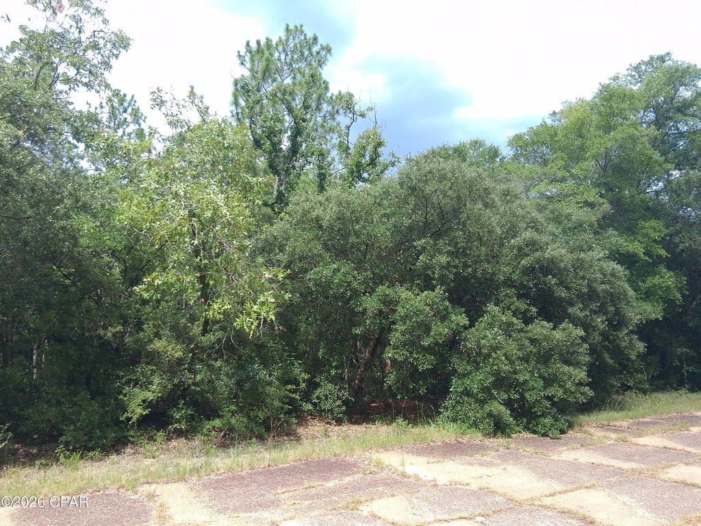 Picture 2