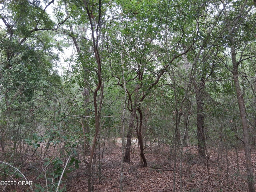 Picture 3