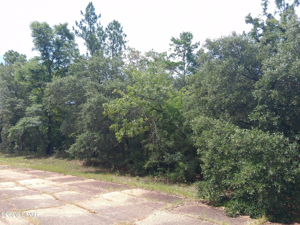 Picture 4