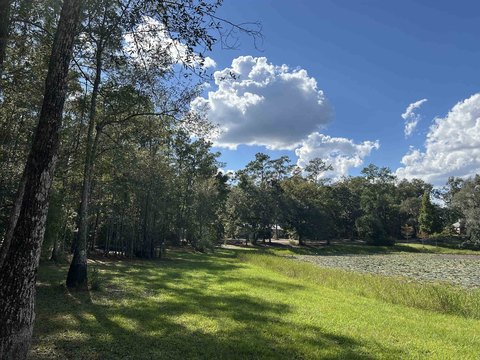 Buildable Lot on Mary Lake