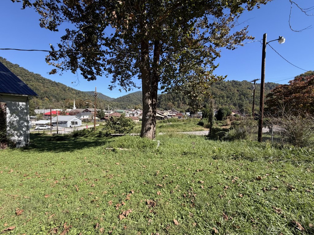 Picture 15