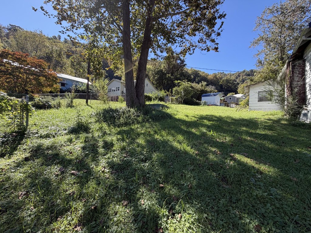 Picture 6