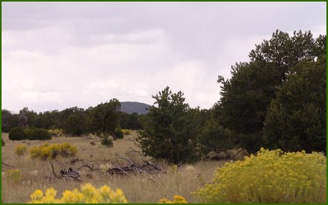 Recreational Hunting Land Parcel