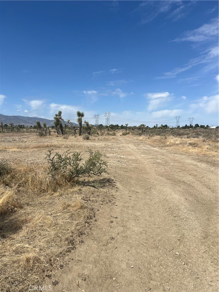 Phelan Land with Investment Potential