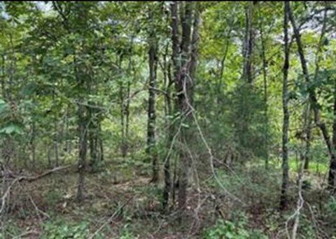 Crossville, TN Land Opportunity