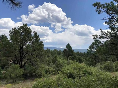 Wooded Lot in Gated Community