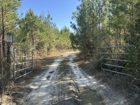 203 Acres Land in Bonifay, Florida