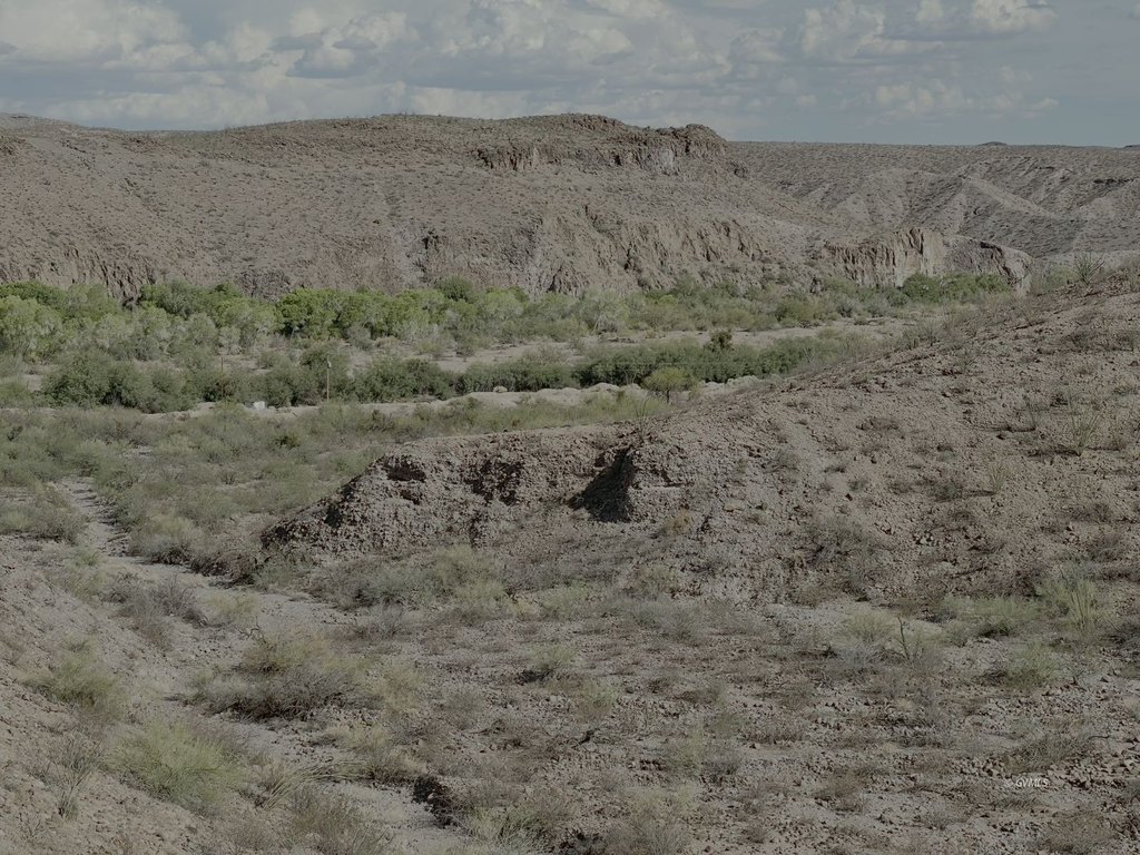 Picture 4