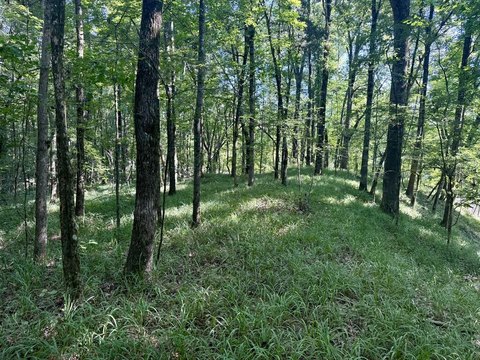 LAND - GRENADA, MS