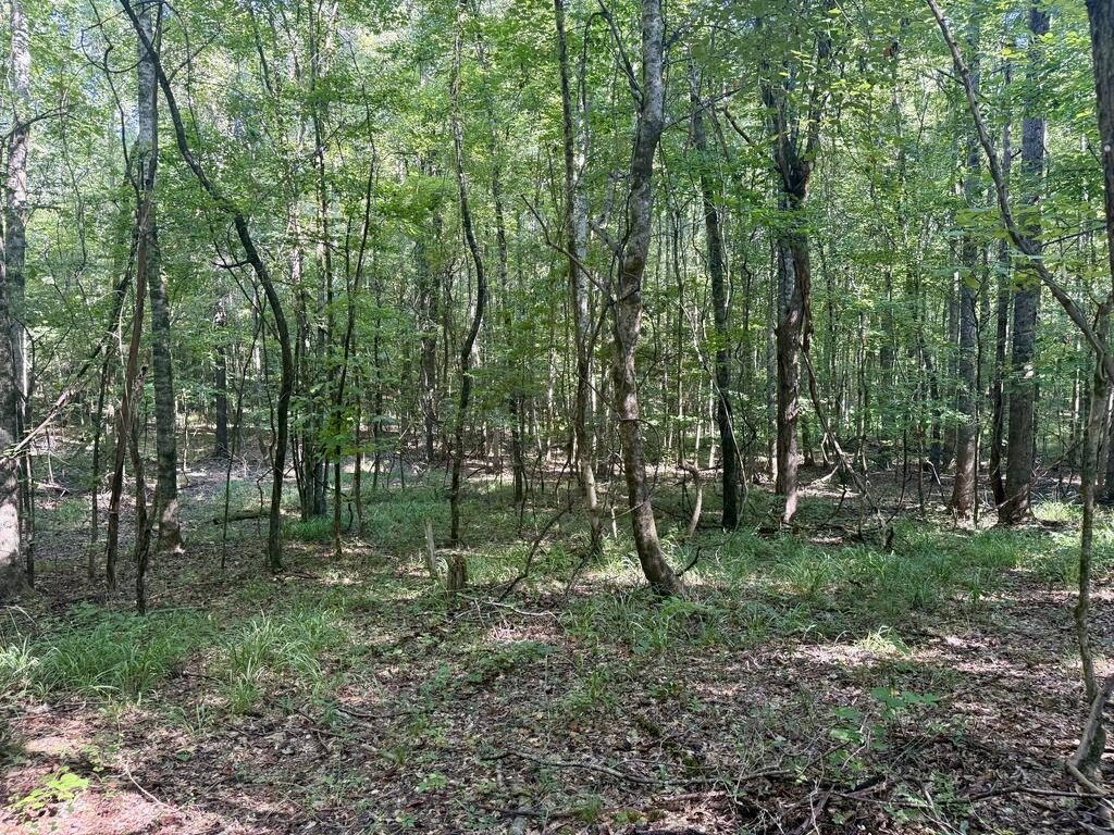 Picture 18