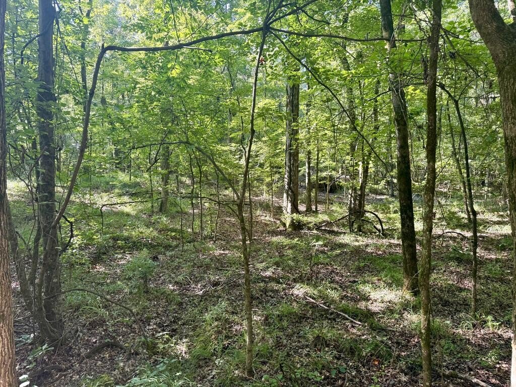 Picture 22