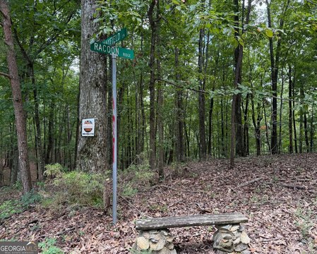 Ranger, GA