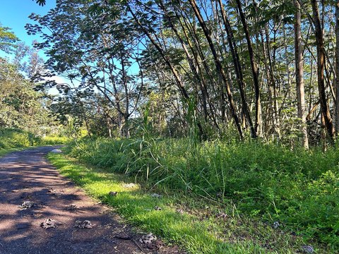 Corner Residential Land Parcel