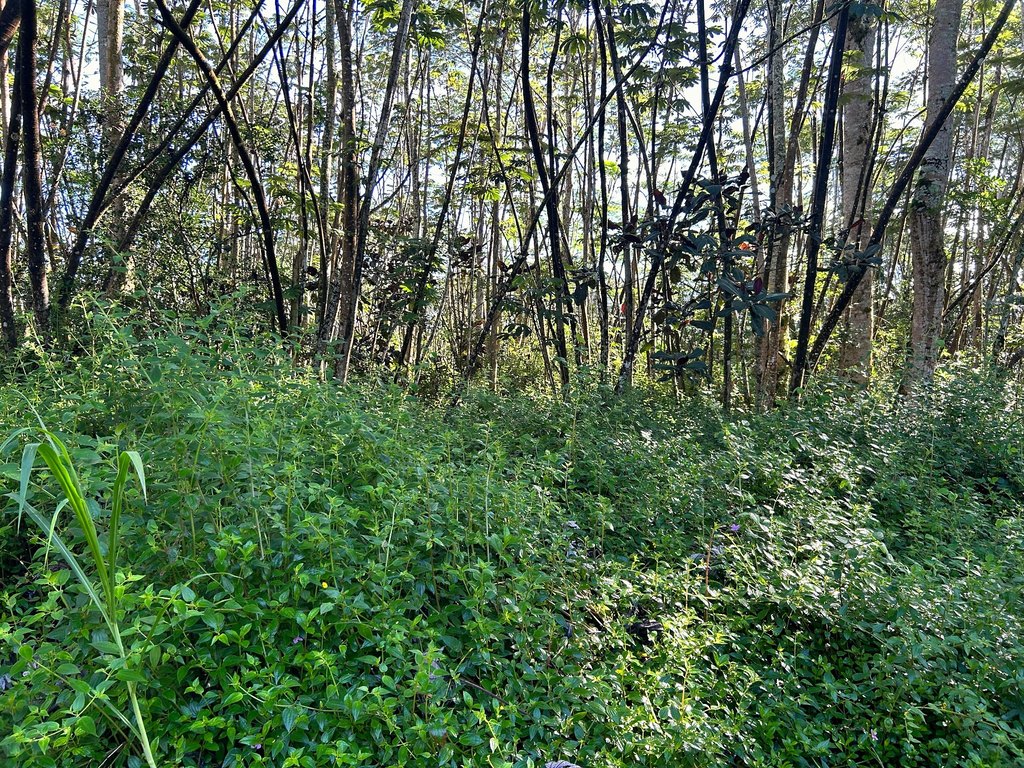 Picture 8