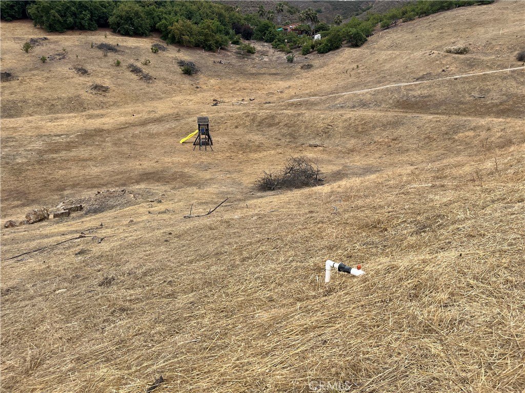 Picture 29